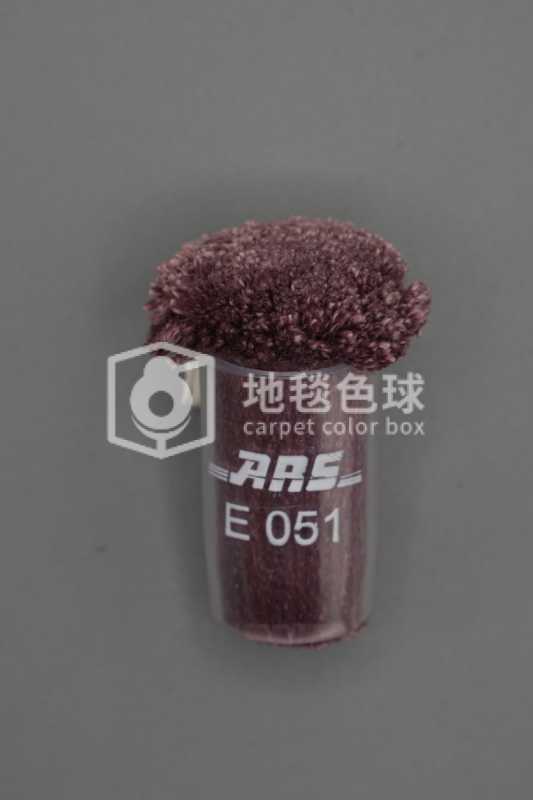 ARS E051