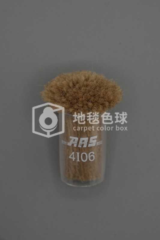 ARS 4I06