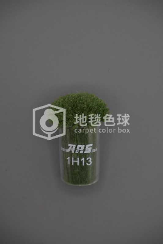 ARS 1H13