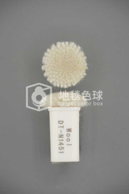 DT N1451