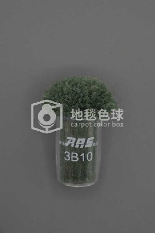 ARS 3B10