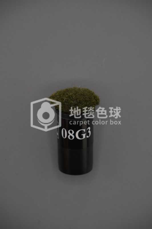 08G3