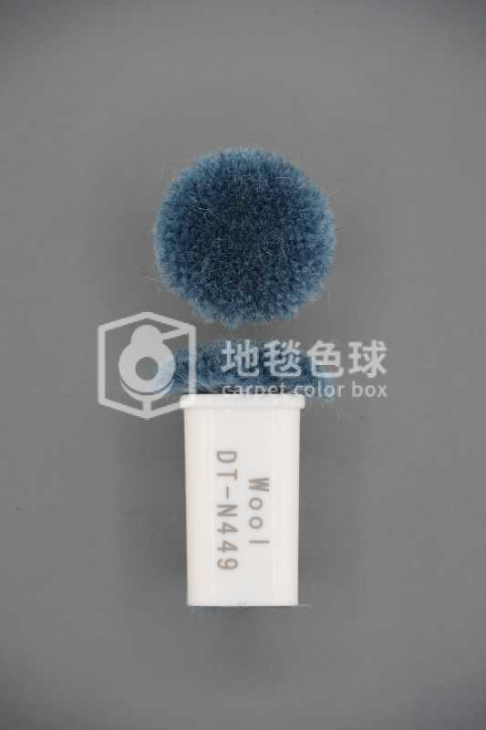 DT N449