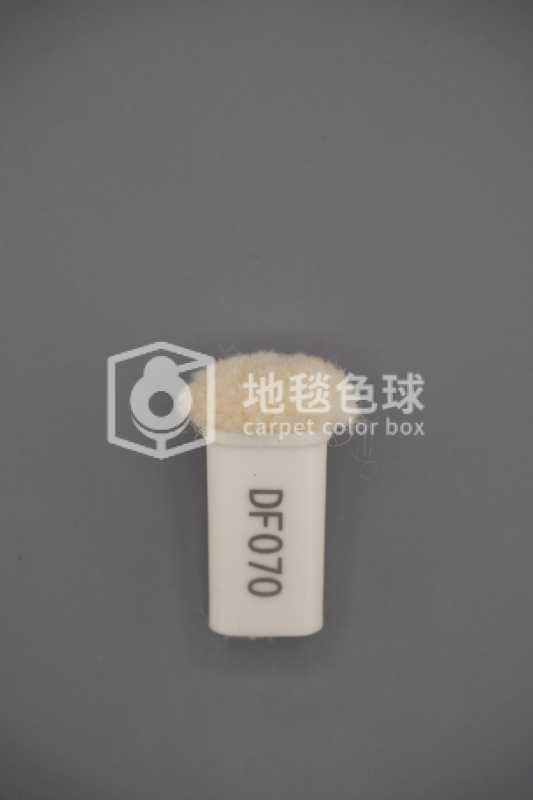 DF070