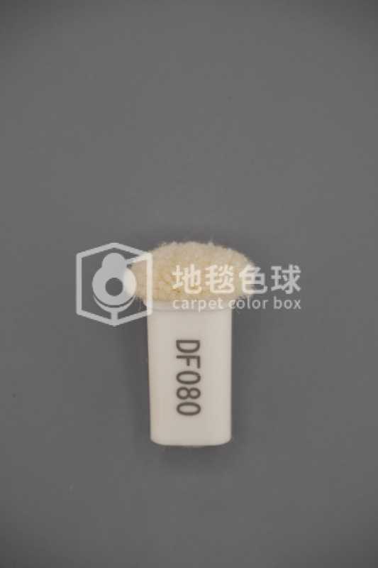 DF080