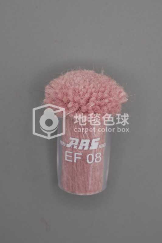 ARS EF08