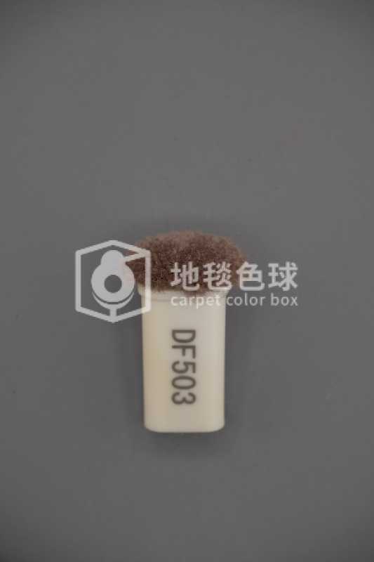 DF503