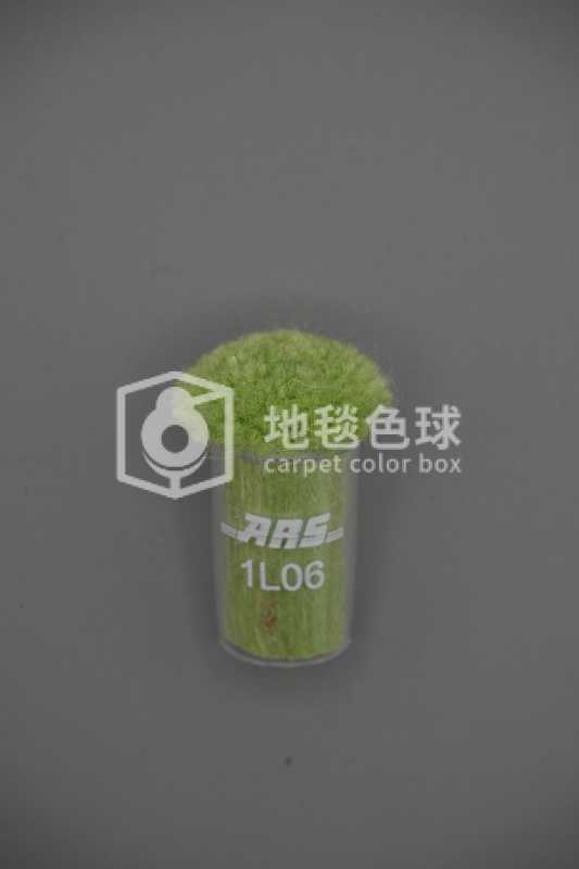 ARS 1L06