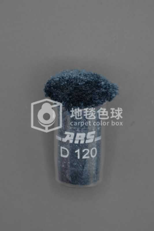 ARS D120