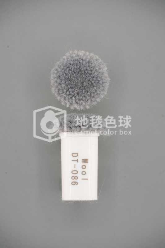 DT 086