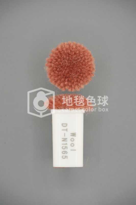 DT N1565