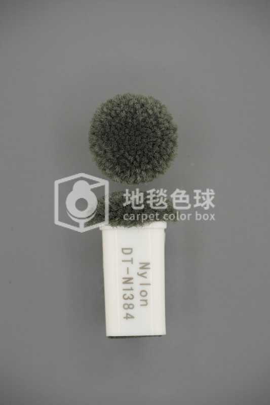 DT N1384