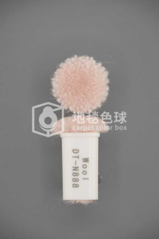 DT N888