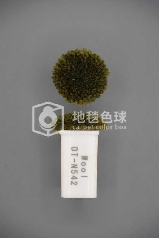 DT N542