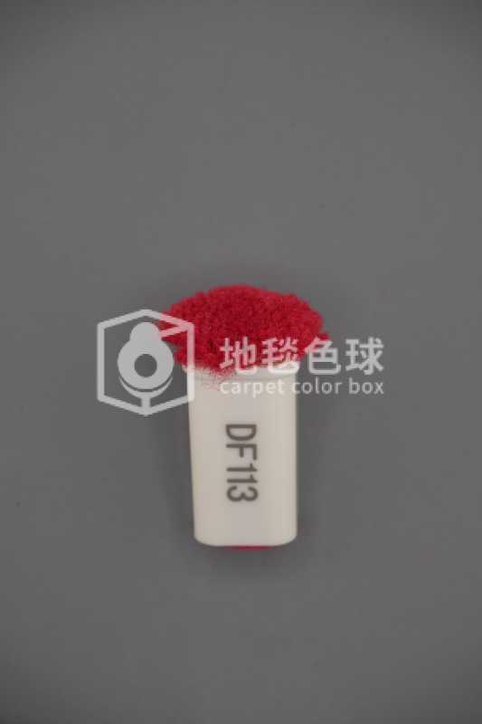 DF113