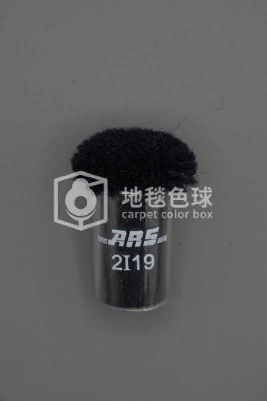 ARS 2I19