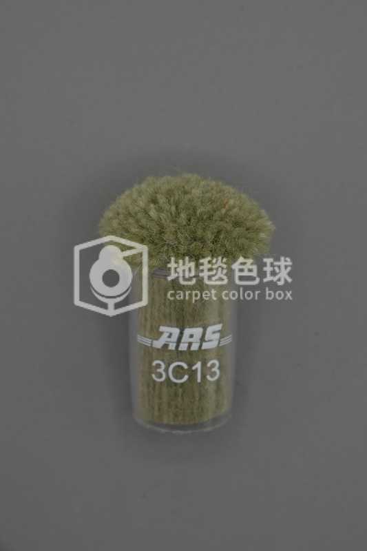 ARS 3C13