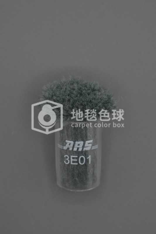 ARS 3E01
