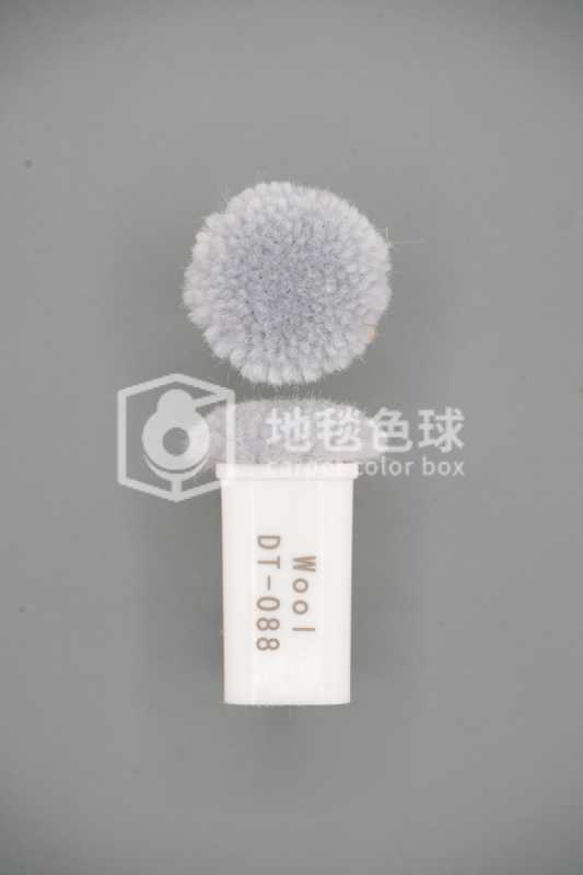 DT 088