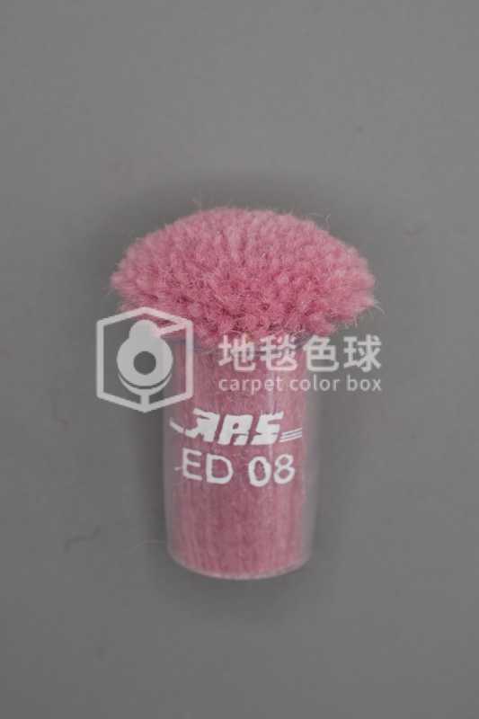 ARS ED08