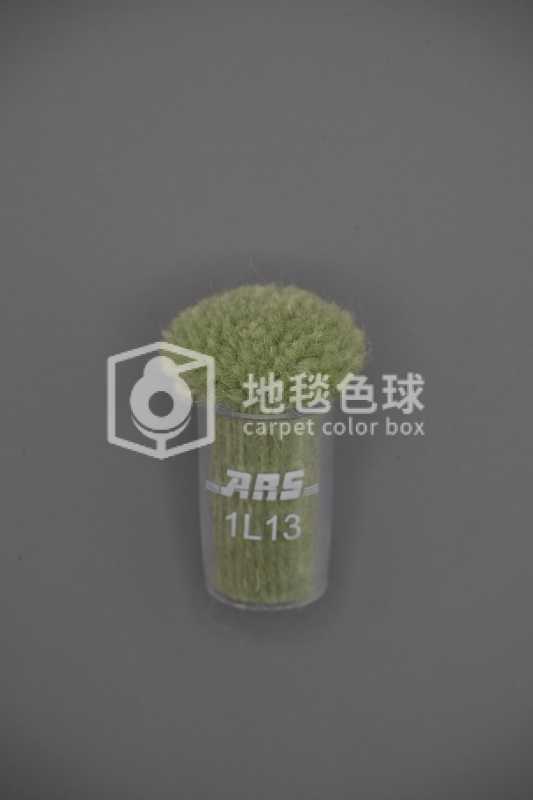 ARS 1L13
