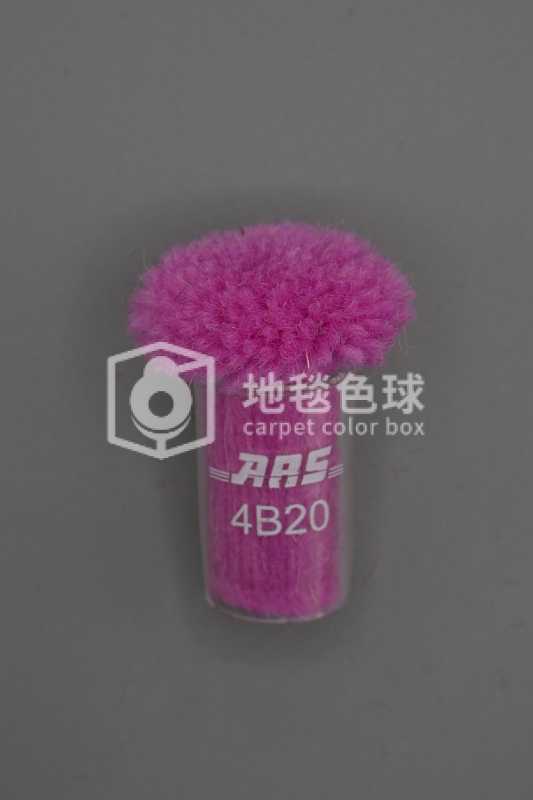 ARS 4B20