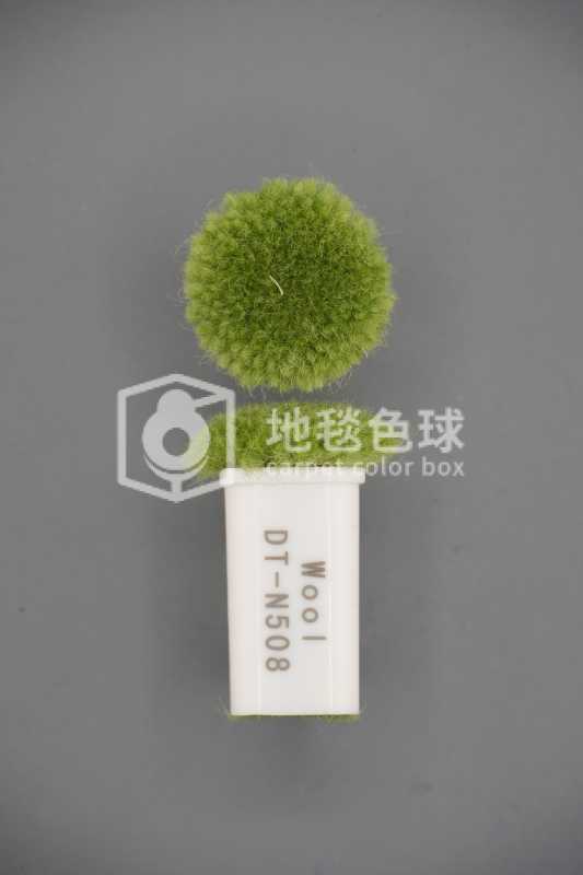 DT N508