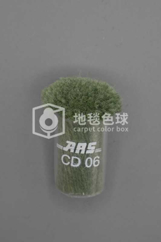 ARS CD06