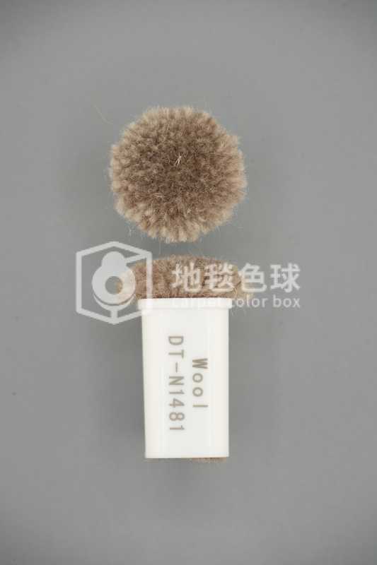 DT N1481