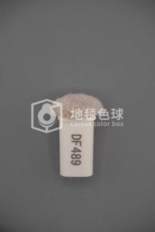 DF489