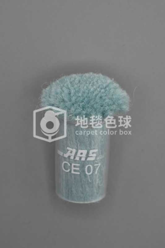 ARS CE07
