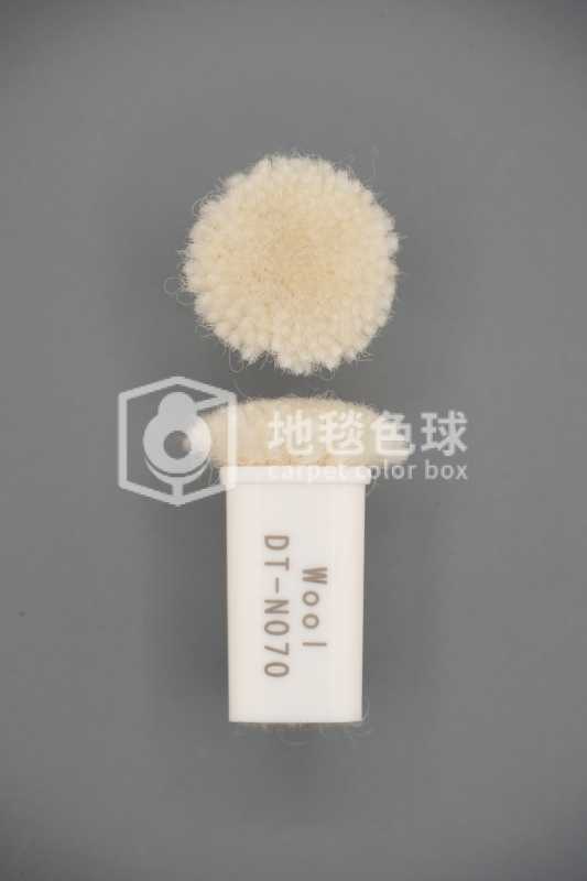 DT N070
