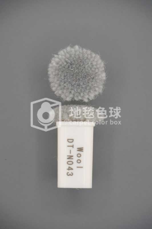 DT N043