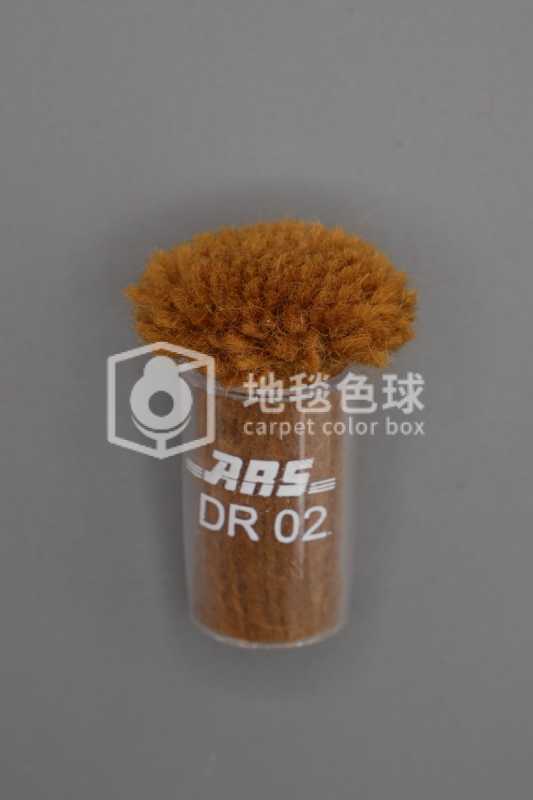ARS DR02