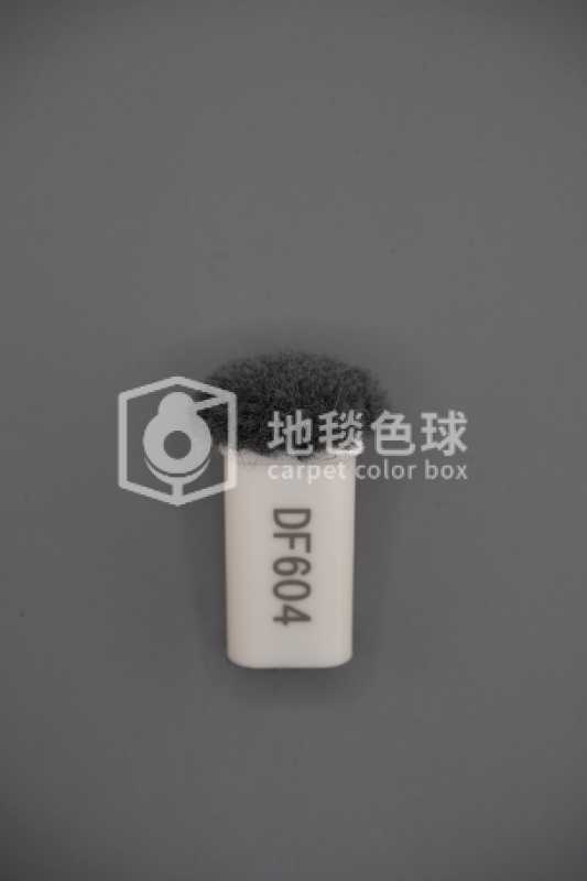 DF604