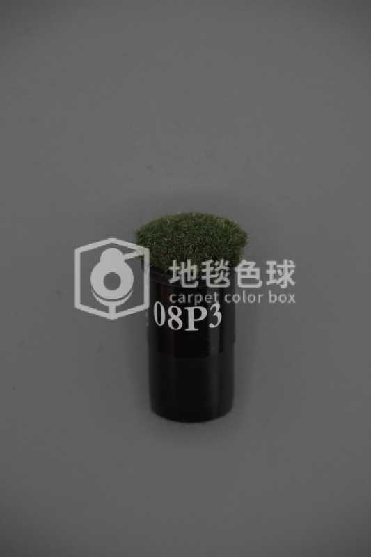 08P3