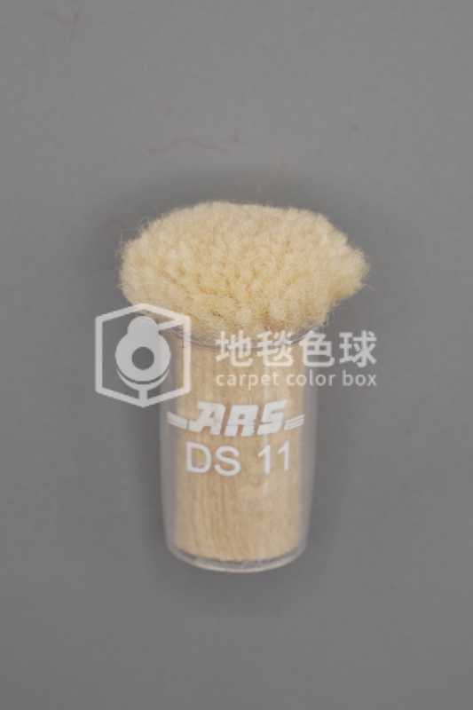 ARS DS11