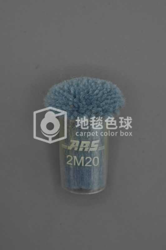 ARS 2M20