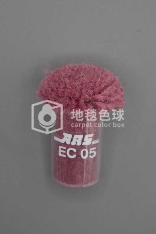 ARS EC05
