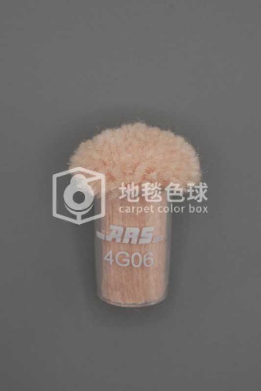 ARS 4G06