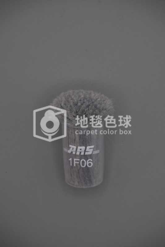 ARS 1F06