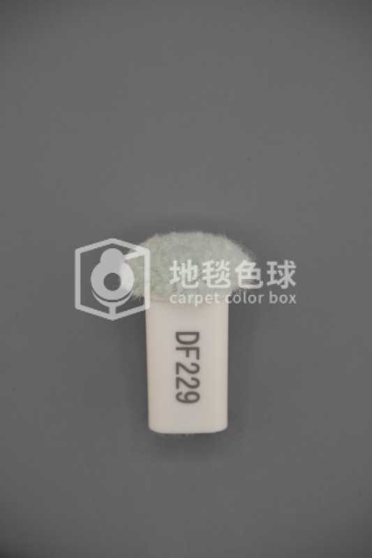 DF229