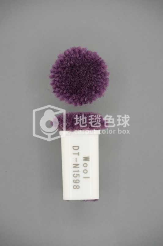 DT N1598