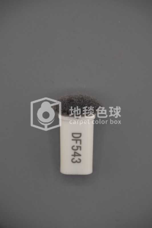 DF543