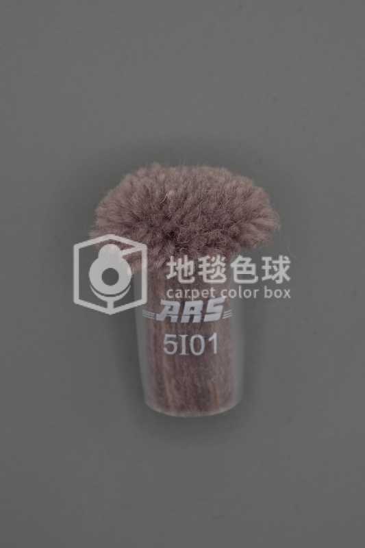 ARS 5I01