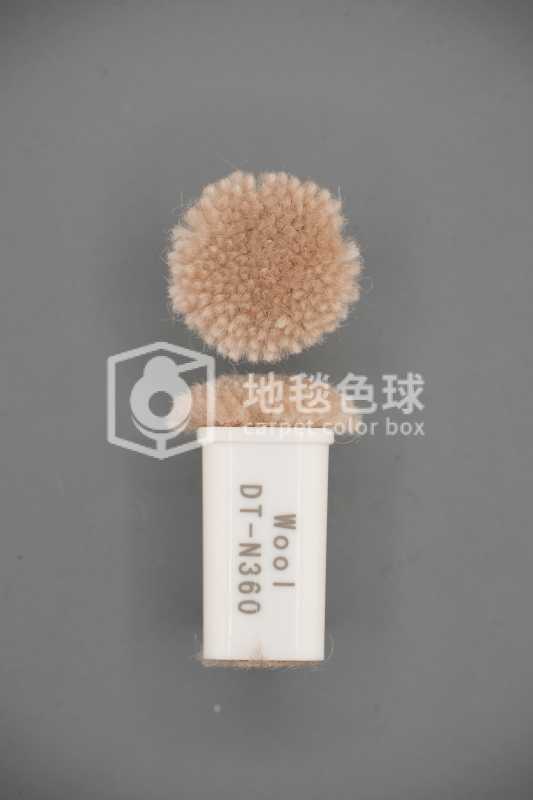 DT N360
