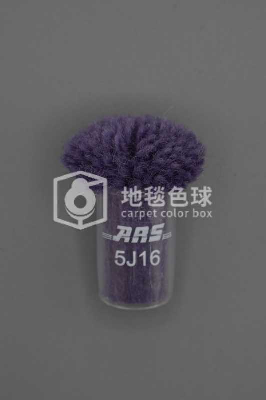 ARS 5J16