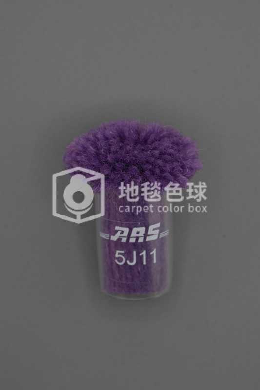 ARS 5J11