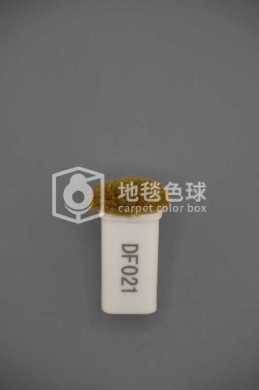 DF021
