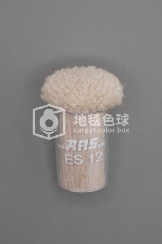 ARS ES12